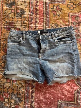 Kut From The Kloth Light Blue Denim Shorts